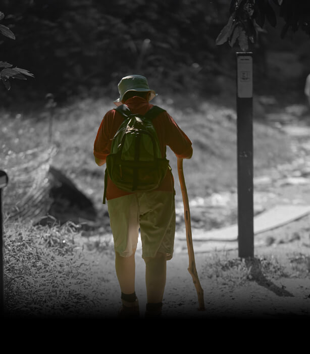 Walker outdoors holding trekking poles